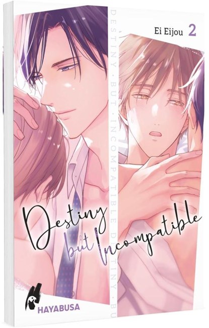 Destiny but Incompatible 2, Ei Eijou - Paperback - 9783551625816