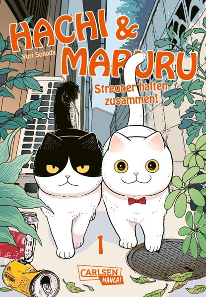 Hachi & Maruru - Streuner halten zusammen! 1, Yuri Sonoda - Paperback - 9783551806307