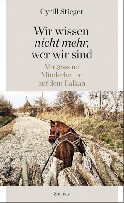 "Wir wissen nicht mehr, wer wir sind", Cyrill Stieger - Gebonden - 9783552058606