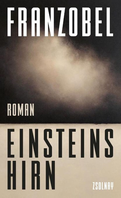 Einsteins Hirn, Franzobel - Gebonden - 9783552073340