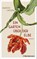 Ein Garten über der Elbe, Marion Lagoda - Gebonden - 9783570104019