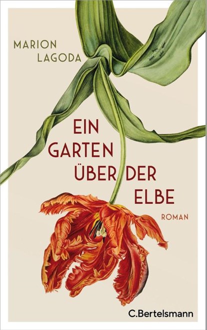 Ein Garten über der Elbe, Marion Lagoda - Gebonden - 9783570104019