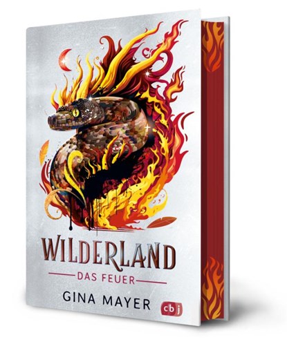 Wilderland - Das Feuer (Bd. 2), Gina Mayer - Gebonden - 9783570182611