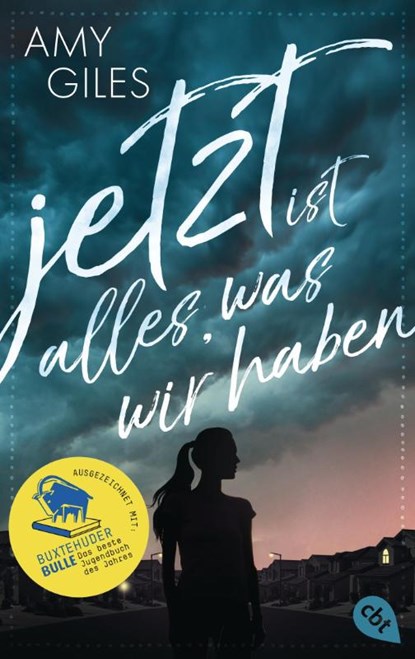 Jetzt ist alles, was wir haben, Amy Giles - Paperback - 9783570313657