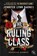 The Ruling Class, Jennifer Lynn Barnes - Paperback - 9783570317921