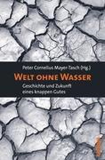 Welt ohne Wasser, MAYER-TASCH,  Peter Cornelius - Paperback - 9783593390376