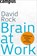 Brain at Work, David Rock - Gebonden - 9783593393407