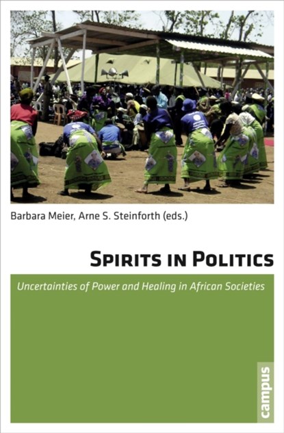 Spirits in Politics, Barbara Meier ; Arne S. Steinforth - Paperback - 9783593399157