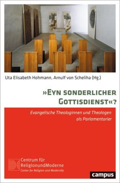 »Eyn sonderlicher Gottisdienst«?, Benedikt Brunner ; Roxane Camen-Vogel ; Uta Elisabeth Hohmann ; Catharina Jacob ; Claudia Lepp ; Martin Otto ; Stephan Reimers ; Arnulf von Scheliha ; Christian Schulze-Pellengahr ; Rasmus Wittekind ; Jacob Catharina - Ebook - 9783593450063