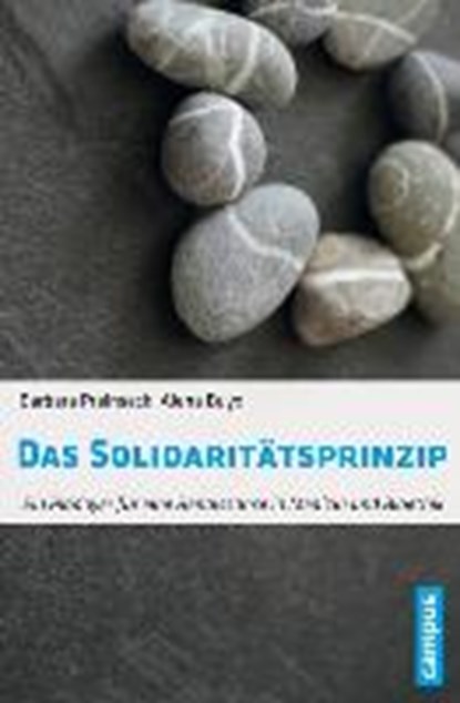 Das Solidaritätsprinzip, PRAINSACK,  Barbara ; Buyx, Alena - Paperback - 9783593505237