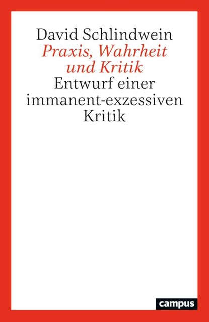 Praxis, Wahrheit und Kritik, David Schlindwein - Paperback - 9783593521107