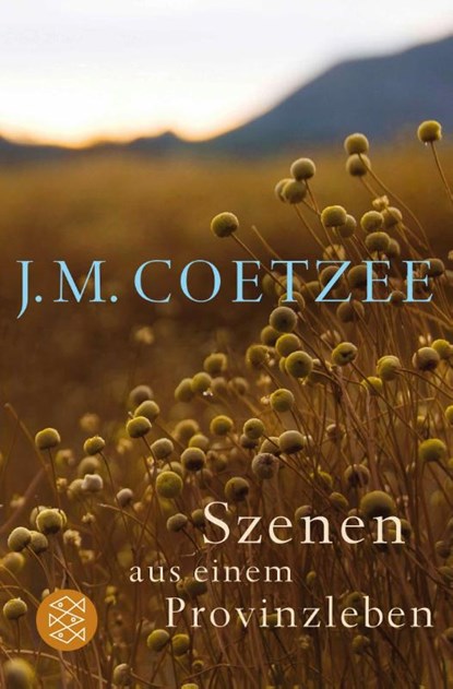 Szenen aus einem Provinzleben, J M Coetzee - Paperback - 9783596031085