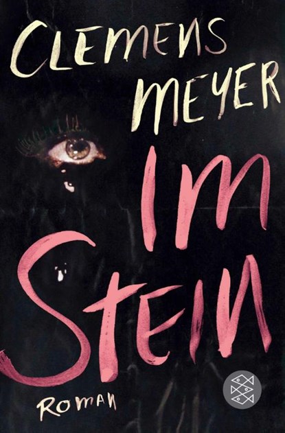 Im Stein, Clemens Meyer - Paperback - 9783596183593