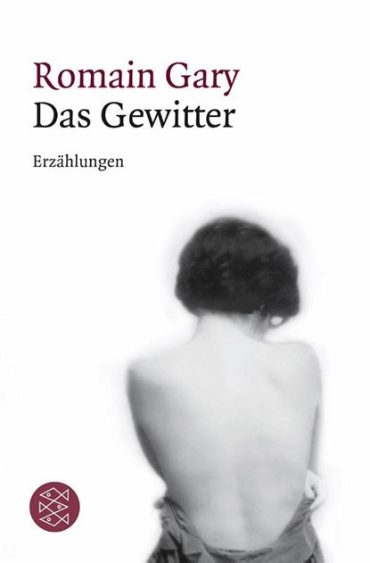 Das Gewitter, Romain Gary - Paperback - 9783596184392