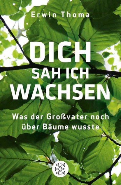 Dich sah ich wachsen, Erwin Thoma - Paperback - 9783596299553