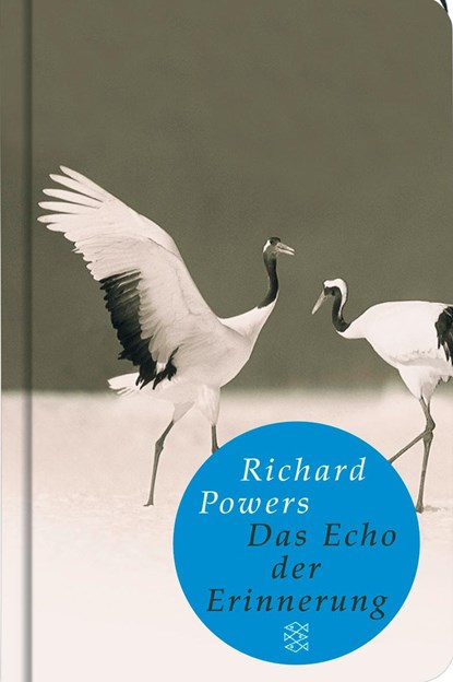 Das Echo der Erinnerung, Richard Powers - Gebonden - 9783596510375