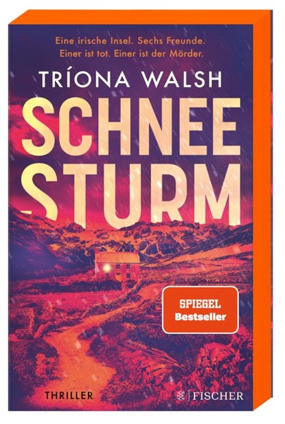 Schneesturm, Tríona Walsh - Paperback - 9783596708994