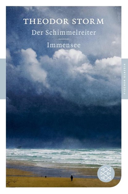 Der Schimmelreiter / Immensee, Theodor Storm - Paperback - 9783596900367