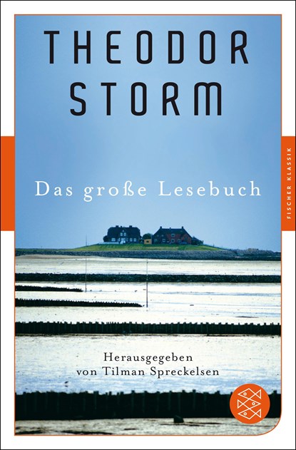 Das große Lesebuch, Theodor Storm - Paperback - 9783596906260