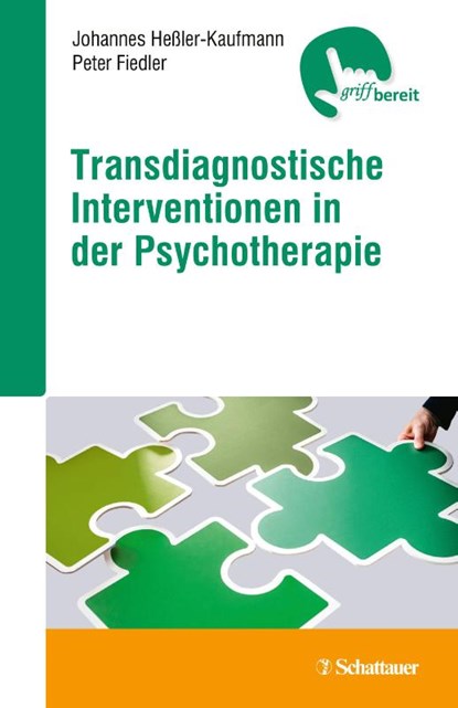 Transdiagnostische Interventionen in der Psychotherapie, Johannes Baltasar Heßler-Kaufmann ; Peter Fiedler - Paperback - 9783608400076