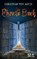 Aster, C: Das eherne Buch, ASTER,  Christian von - Paperback - 9783608939347