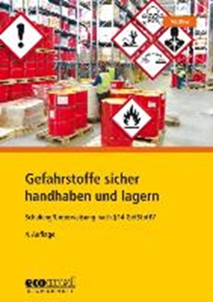Matthes, G: Gefahrstoffe sicher handhaben und lagern, MATTHES,  Günter - Paperback - 9783609683744