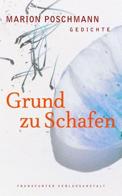Grund zu Schafen, Marion Poschmann - Gebonden - 9783627001179