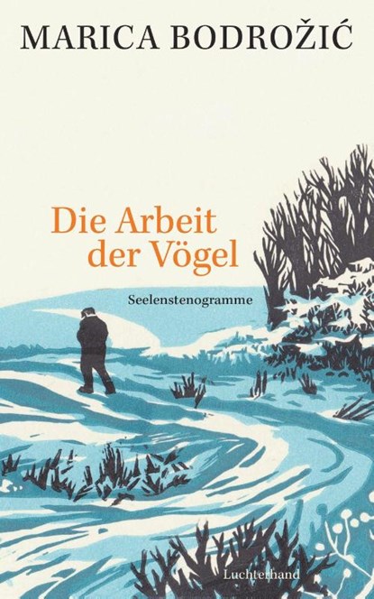 Die Arbeit der Vögel, Marica Bodrozic - Gebonden - 9783630875941