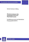 Strukturanalyse des arbeitsgerichtlichen Rechtsschutzes | Grotmann-Hofling Gunter Grotmann-Hofling | 