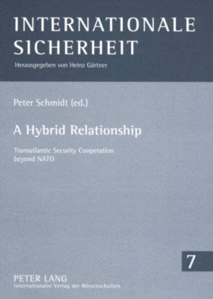 A Hybrid Relationship, Peter Schmidt - Paperback - 9783631572368