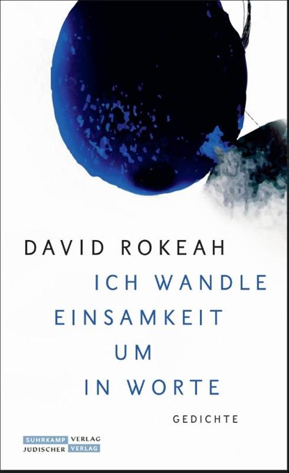 'Ich wandle Einsamkeit um in Worte', David Rokeah - Gebonden - 9783633543380