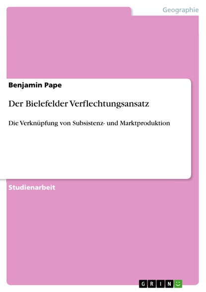 Der Bielefelder Verflechtungsansatz, Benjamin Pape - Ebook - 9783638875585