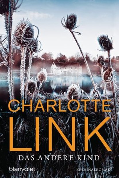 Das andere Kind, Charlotte Link - Ebook - 9783641027872
