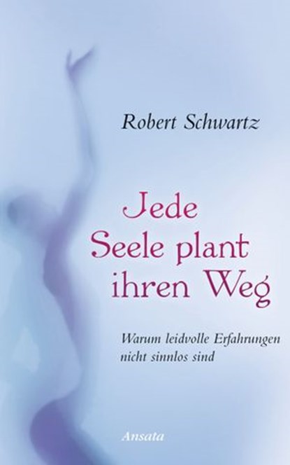 Jede Seele plant ihren Weg, Robert Schwartz - Ebook - 9783641084066