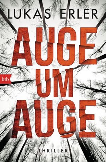 Auge um Auge, Lukas Erler - Ebook - 9783641183011