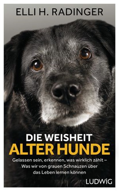 Die Weisheit alter Hunde, Elli H. Radinger - Ebook - 9783641229412