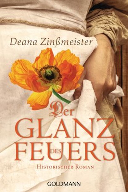 Der Glanz des Feuers, Deana Zinßmeister - Ebook - 9783641238995