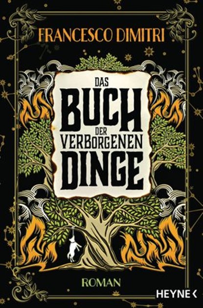 Das Buch der verborgenen Dinge, Francesco Dimitri - Ebook - 9783641246808