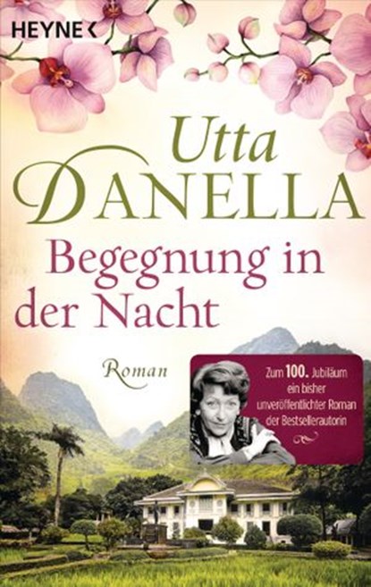 Begegnung in der Nacht, Utta Danella - Ebook - 9783641263522