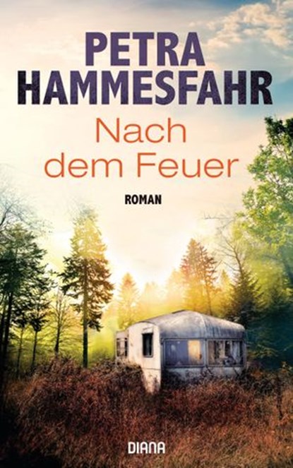 Nach dem Feuer, Petra Hammesfahr - Ebook - 9783641266172