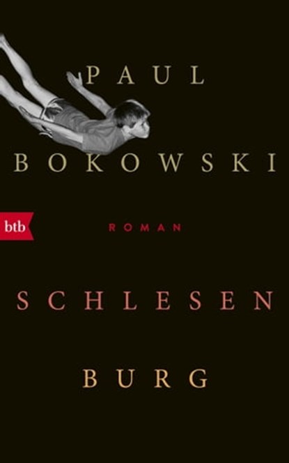 Schlesenburg, Paul Bokowski - Ebook - 9783641279479
