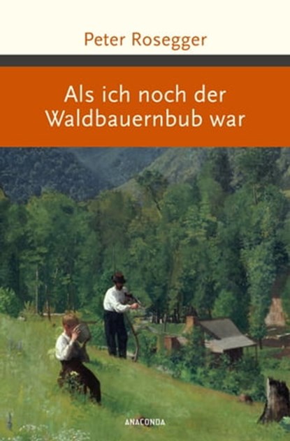 Als ich noch der Waldbauernbub war, Peter Rosegger - Ebook - 9783641311476