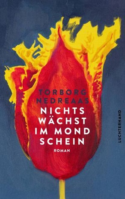 Nichts wächst im Mondschein, Torborg Nedreaas - Ebook - 9783641327309