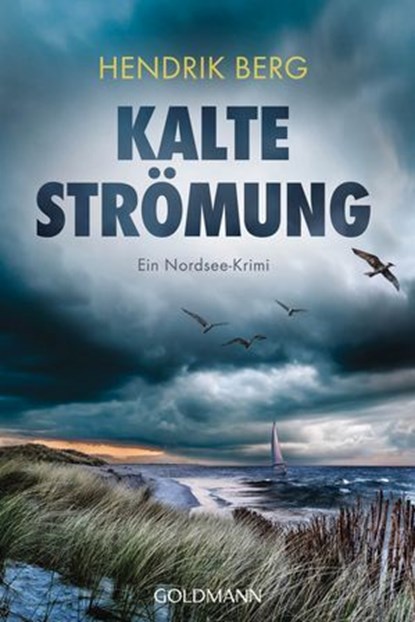 Kalte Strömung, Hendrik Berg - Ebook - 9783641328139