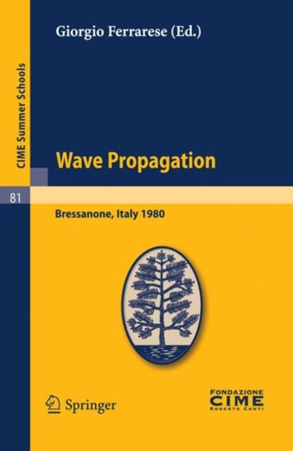 Wave Propagation, Giorgio Ferrarese - Paperback - 9783642110641