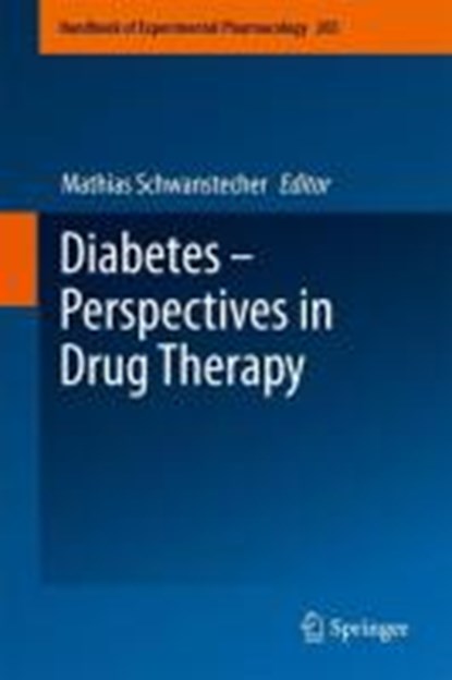 Diabetes - Perspectives in Drug Therapy, Mathias Schwanstecher - Gebonden - 9783642172137