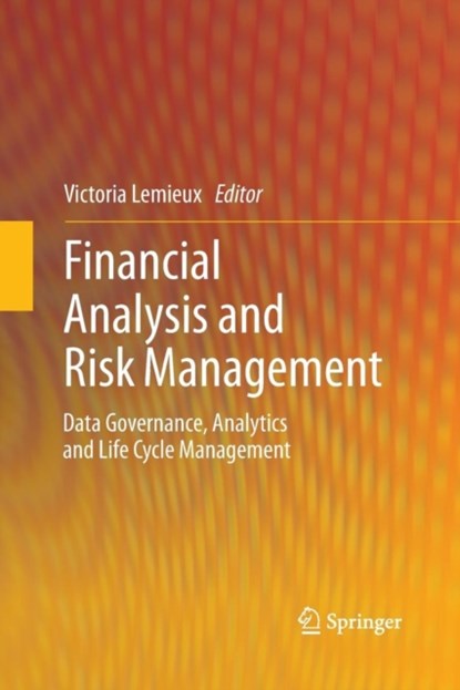 Financial Analysis and Risk Management, niet bekend - Paperback - 9783642427206