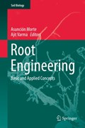 Root Engineering | Asuncion Morte ; Ajit Varma | 