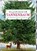 Das große Buch vom Tannenbaum, Holger Haag - Gebonden - 9783649647973