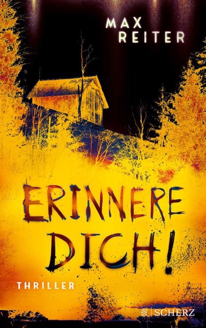 Erinnere dich!, Max Reiter - Paperback - 9783651025059
